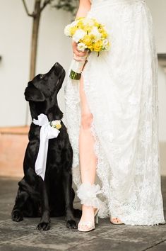 a woman in white dress standing next to a black dog with yellow flowers on it