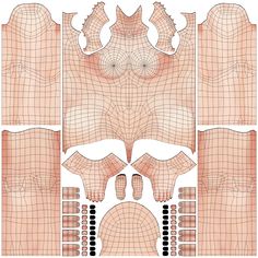 an image of the breast section with different sections and shapes, including the bras