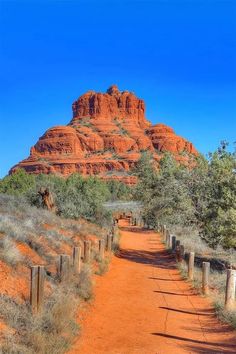 a dirt road with trees and bushes on both sides in front of a red rock formation