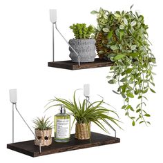 two shelves with plants and candles on them