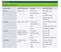 a table with several different types of words