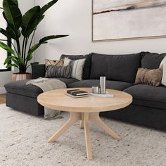 a living room with a couch, coffee table and potted plant in the corner