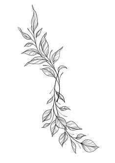 a black and white drawing of a branch with leaves