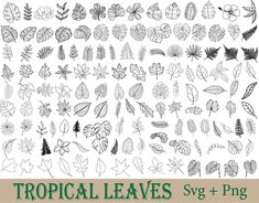 tropical leaves svg and png