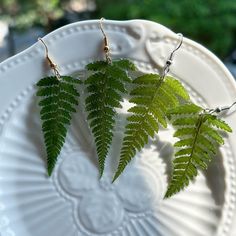 three green leafy plants are sitting on a white plate with gold earwires