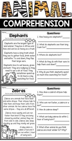 an animal worksheet with the words, animals and other things to describe in it