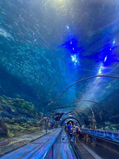 an underwater tunnel with many fish swimming in the water and people standing on either side