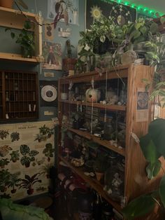 a room filled with lots of potted plants next to a wall covered in pictures