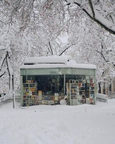 a book store covered in snow with lots of books on the shelves and trees behind it