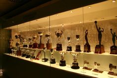 many trophies are on display in a glass case