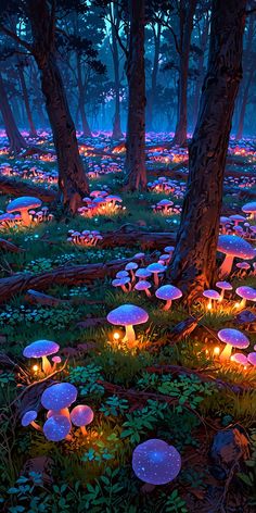 a forest filled with lots of mushrooms and glowing lights in the dark night time,