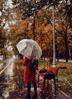 a woman standing in the rain holding an umbrella over her head and looking at trees