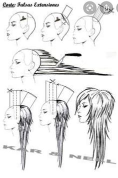 Hair Illustration, Haircut Straight, Long Wolfcut Haircut, Bangs Curly, Wolfcut Haircut, Long Wolfcut, Haircuts For Wavy Hair, Long Layered Haircuts, Wolf Cut