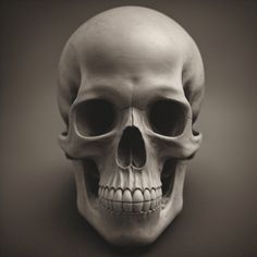 a black and white photo of a human skull