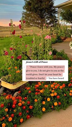 a garden with flowers and a sign that says, jesus's gift of peace