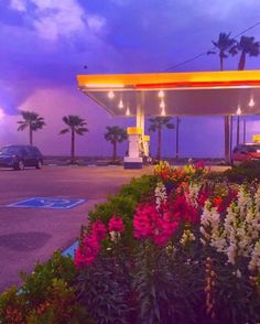 a gas station with flowers in the foreground and palm trees in the background at dusk