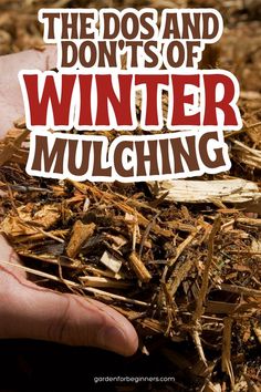 A hand spreading wood chip mulch over soil in preparation for winter gardening. Garden Tips And Tricks, Home Container, Beginners Garden, Productive Garden, Beginners Gardening