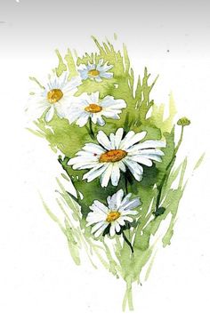 watercolor painting of white daisies and green grass