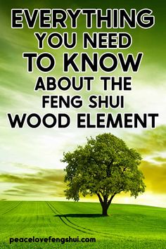 a tree with the words everything you need to know about the feng shu wood element