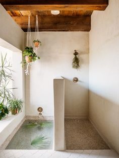 the instagram page for instagram is shown with an image of a shower and plants