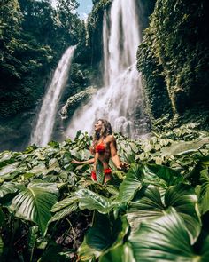 a man standing in front of a waterfall surrounded by lush green plants and foliages