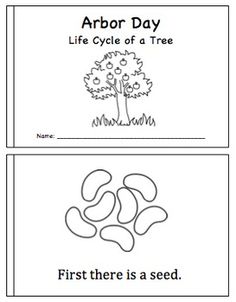 an arbor day worksheet with the words, first there is a seed and tree