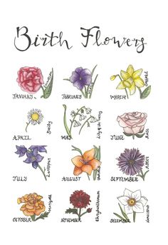 a poster with flowers that say birth flowers