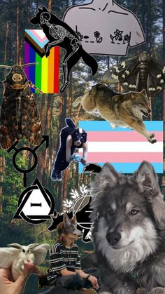 a collage of pictures with animals and people in the woods, including an eagle