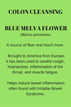 Blue Melva Flower is one of the nine ingredients in Shakee Herb-Lax, a safe, gentle, and natural alternative to promote natural digestive assimilation and elimination.  Herb-Lax has NINE herbs and soluble fiber that have long been used for bowel support, health and cleansing.    See all nine pins to learn about these ingredients that are uniquely blended together.   Visit the link for more about safe, natural, healthy colon cleansing. Herbal Colon Cleanse, Homemade Colon Cleanse, Colon Cleanse Diet, Healthy Colon, Clean Colon, Colon Cleansing, Natural Colon Cleanse