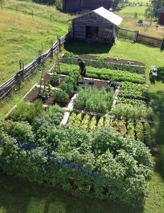 an aerial view of a vegetable garden in the yard