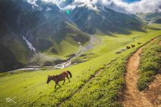 Kashmir Great Lakes Trek - Trek the Indian Himalayas - Indiahikes Kashmir Photos, India Bucket List, Indian Himalayas, Travel Planning, Great Lakes, Wonders Of The World, Trip Planning, Places To Travel, Lake