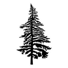 a black and white silhouette of a pine tree on a white background with the words,