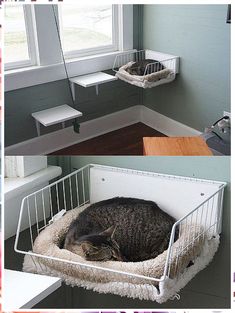 Turn your cat's sleep into a wonderland with Amazon's fantastical beds. Dog And Cat Corner Ideas, Cat Wall Diy Cheap, Kitten Bed Ideas, Diy Wall Cat Bed, Cat Room Ideas Small Closet, Cat And Dog Room Ideas, Cat Space Ideas Apartment, Dorm Cat Setup, Cat Storage Ideas