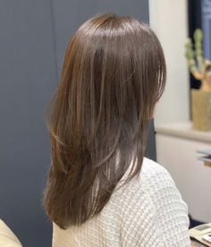 Long Layers Medium Length Hair Back View, Long Layer For Short Hair, Brunette Layered Hair Medium Straight, Haircut Inspo For Straight Hair, Short Length Hair With Layers Straight, Haircut With Framing Pieces, Medium Length Hair With Layers For Fine Hair, Layered Straight Hair Medium, Haircuts That Dont Need Styling