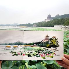 a person holding up an open book in front of some water plants and buildings on the other side