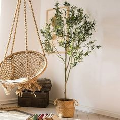 a hammock hanging from the ceiling next to a potted plant