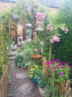 a garden with lots of plants and flowers