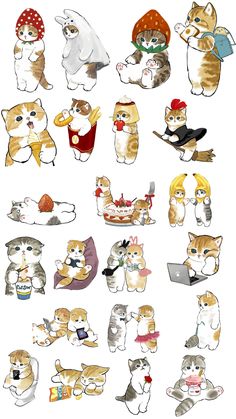 an image of many cats with different poses