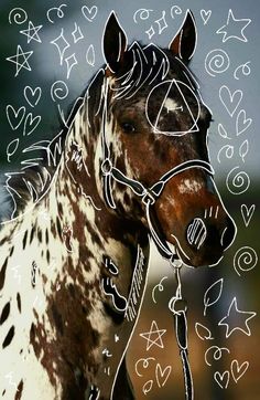 a brown and white spotted horse with hearts drawn on it's face in the background