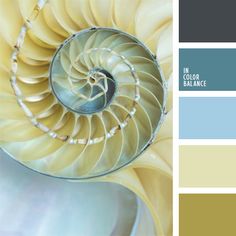 an image of a spiral design in shades of blue, yellow and beige with text that reads color palettes