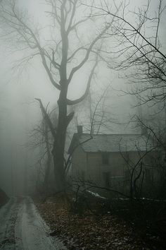 an old house in the fog with a tree on the side and no leaves around it