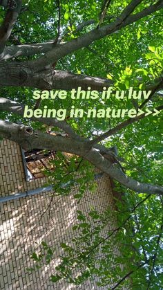 the words save this utility being in natures are displayed on a fenced area