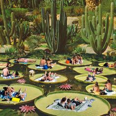 many people are floating on lily pads in the water surrounded by cacti and succulents