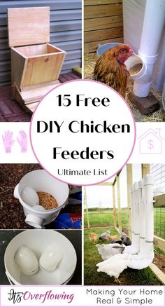 chicken feeders with text overlay that reads 15 free diy chicken feeders ultimate list