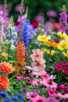 many different colored flowers in a garden