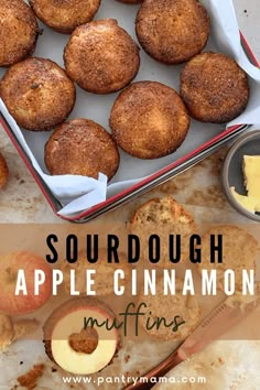 an apple cinnamon muffins in a box with butter on top and the title says sourdough apple cinnamon muffins