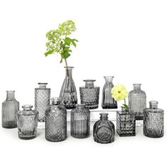 an assortment of vases and flowers on a white background