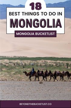 people riding camels in the desert with text overlay saying best things to do in mono