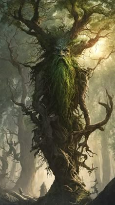 an image of a tree with moss growing out of it's roots in the forest