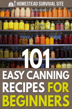 the cover of 101 easy canning recipes for beginners, including canned and canned vegetables